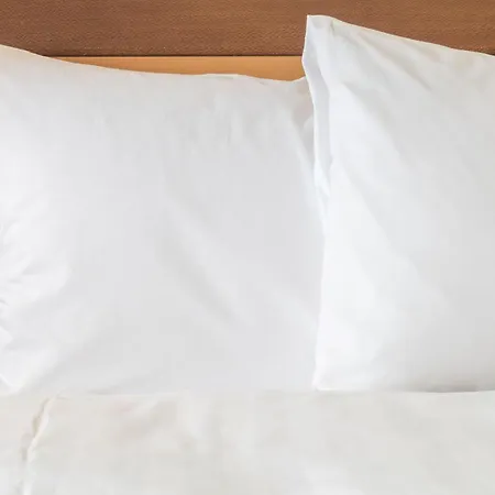 Sure Hotel By Best Western Turin City Centre-3