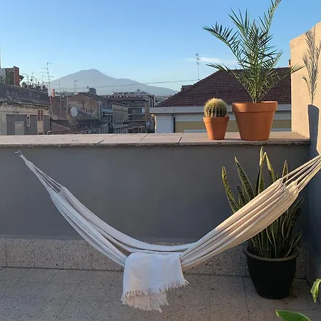 Homestay Rooftop-3