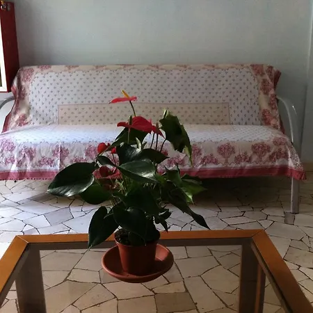 Hotel Mira-3