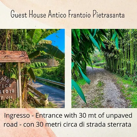 Guest House Antico Frantoio Pietrasanta Affittacamere-3