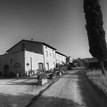 Il Glicine 3-3