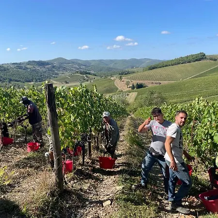 Fattoria Poggerino-3