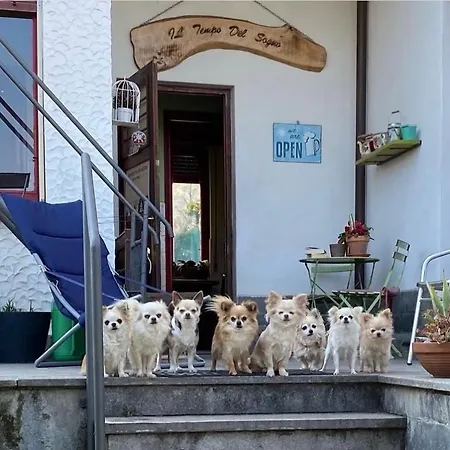 B&B Il Tempo Del Sogno Con Cani E Gatti Pet&Breakfast-3