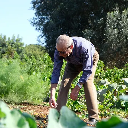 Masseria Grieco-3