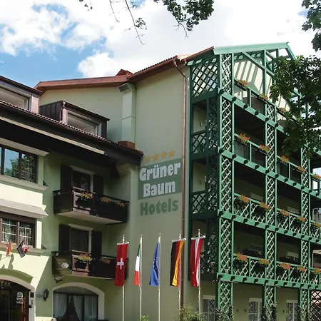 Hotel Grüner Baum-2