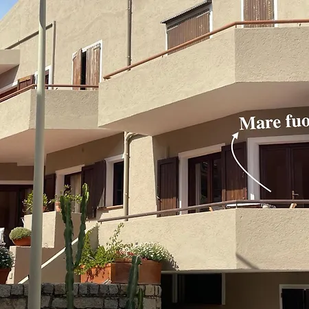 Mare Fuori-2