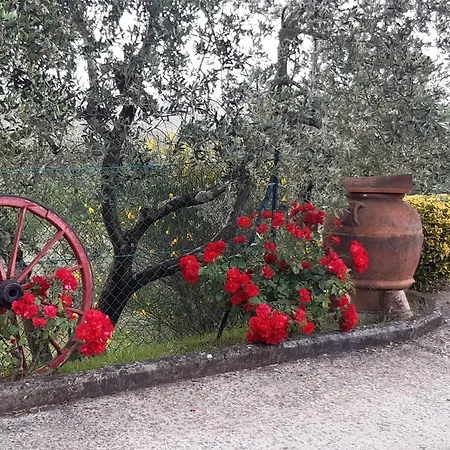B&B I Coppi-3