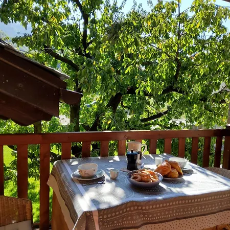 La Vigne de Papagran-2