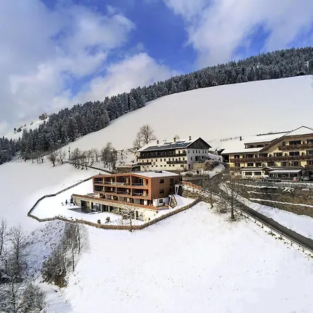 Hotel Schopfenhof-2