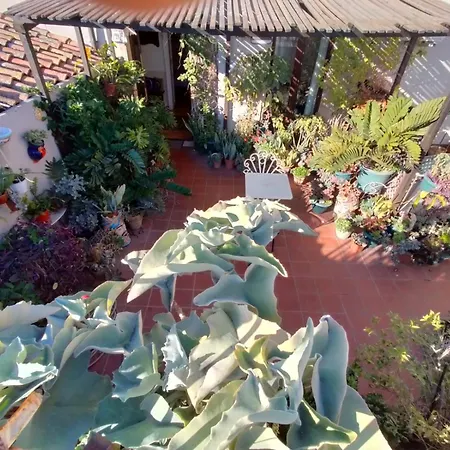 Crociferi B&B-2