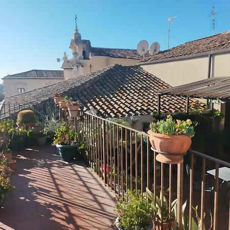 Crociferi B&B-3