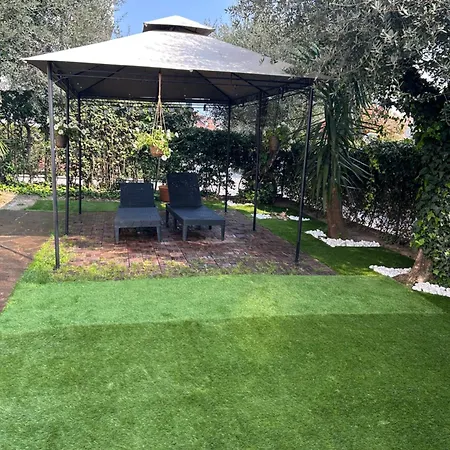 B&B Topaze-3