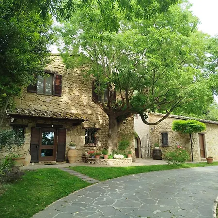 B&B All'Ombra di San Damiano-2