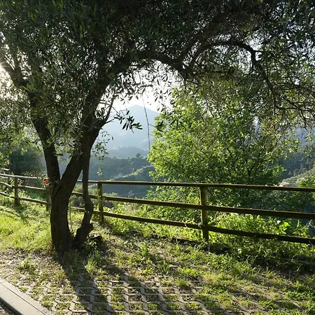 Creuza De Legna-2
