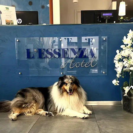 L'Essenza Hotel-2