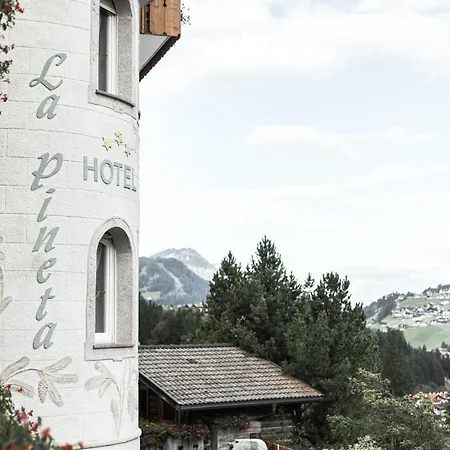 Hotel La Pineta-2