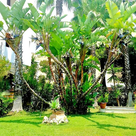Hotel Akrabello-2