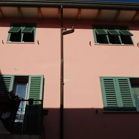 Burlamacco Gold-2