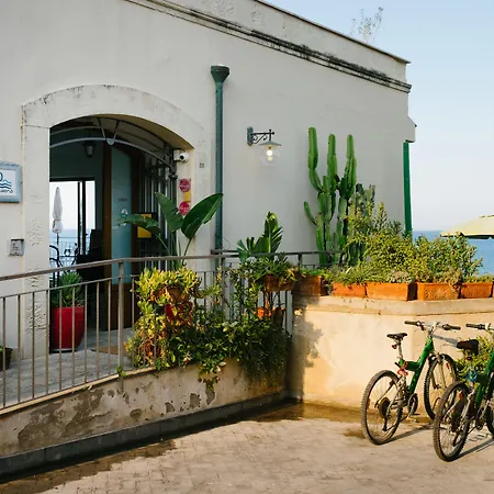 Giuggiulena-3