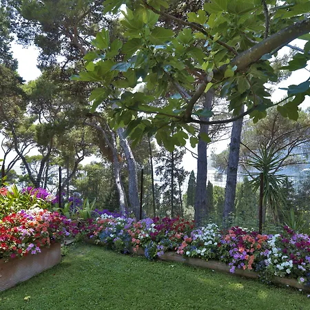 Hotel Villa Brunella-2