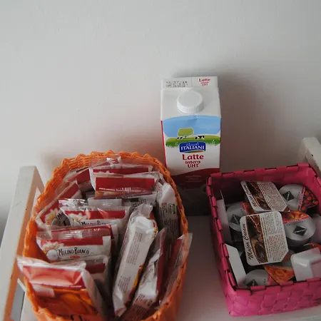 B&B Pisaland-2