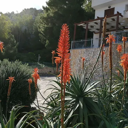 Albergo Auralba-2