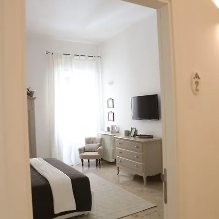 Dimi House-3