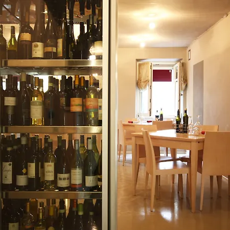 Vincafe-3