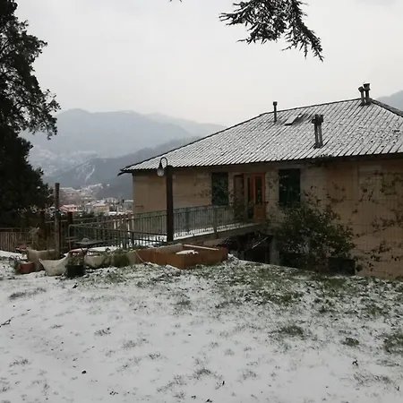 B&B Il Cedro-2