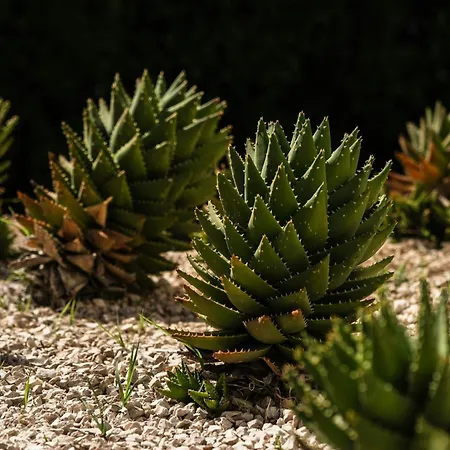 Delta Hotels By Marriott Olbia Sardinia-3
