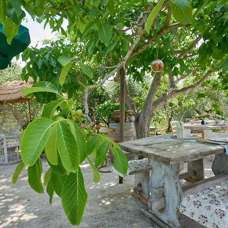 Olioealloro B&B-3