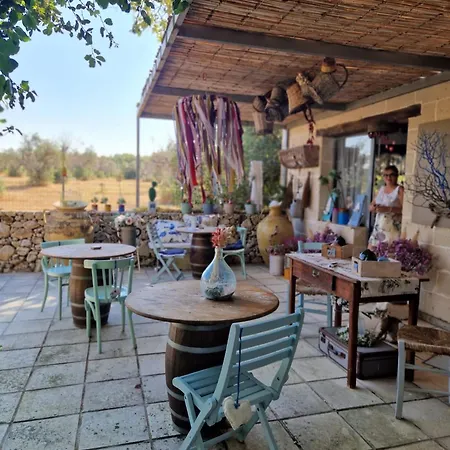 Alba Bed & Breakfast-2