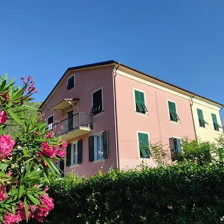 B&B Fattore-2