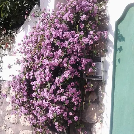 B&B Angelide-2