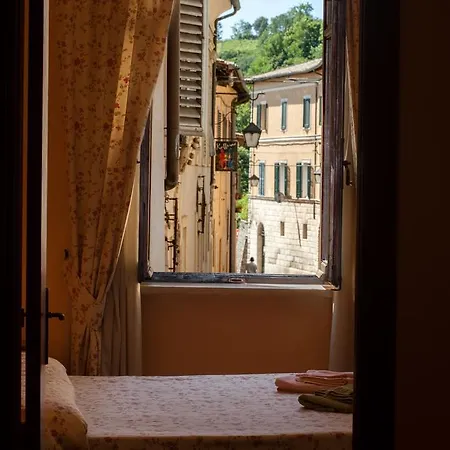 Palazzo Saloni-3