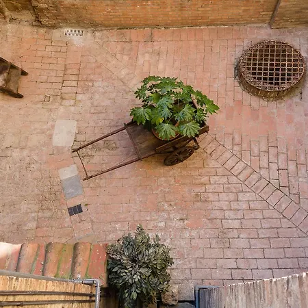 Casatorre Dei Leoni Dimora Storica-3