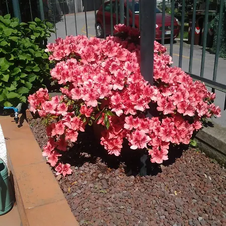 Hotel Arcobaleno-2