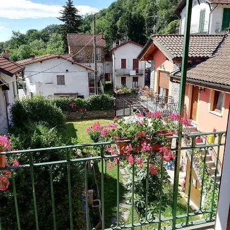 Campino-2