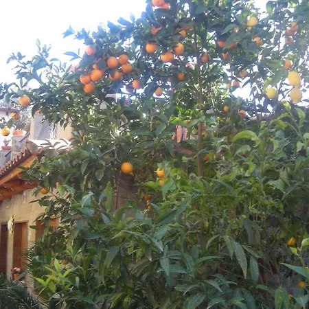 B&B L'Arcobaleno-2