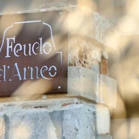 Feudo d'Arneo-3