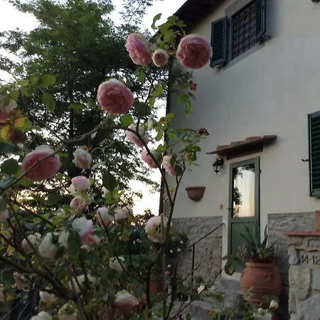 Fiesole In Giardino B&B-2