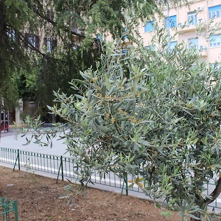 Hotel Del Viale-2