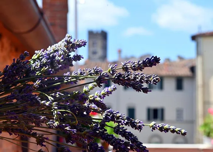 L'Iris B&B In Terrazza