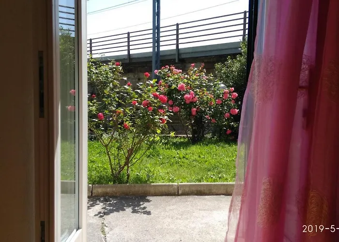 Alle Rose Barcolane