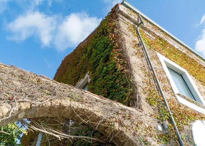 La Belle Vie B&B Santa Maria di Castellabate