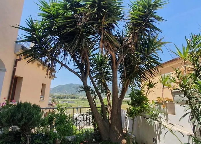 B&B Villa Orchidea