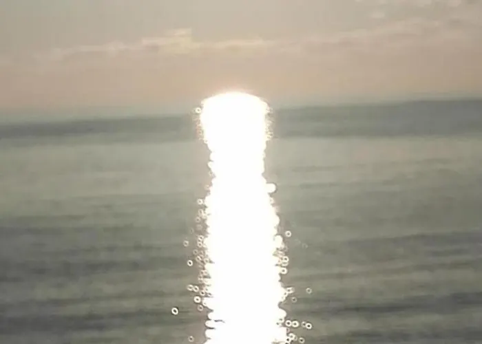 Formentera E' Qui
