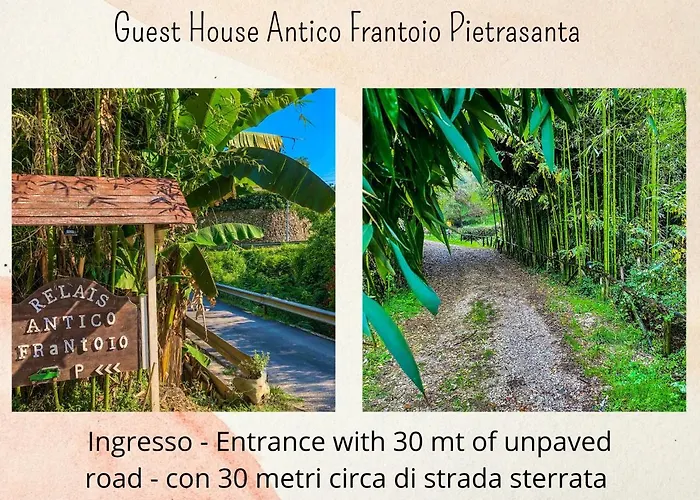 Guest House Antico Frantoio Pietrasanta Affittacamere Marina di Pietrasanta