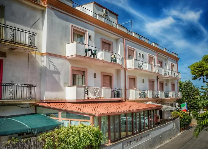 Hotel Pineta