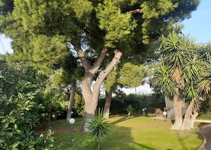 The Orange Groove Bed and Breakfast Bari
